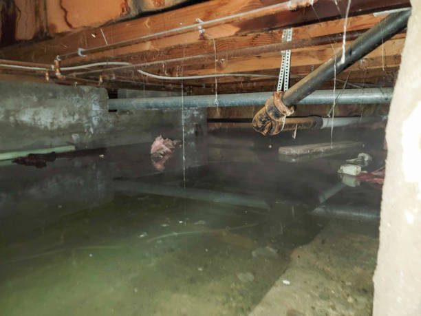 Sewage cleanup and water damage restoration in Glade Spring, VA