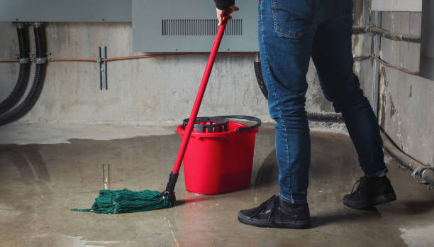 Best Flooded house restoration  in Glade Spring, VA