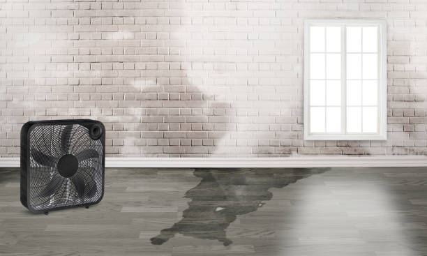 Best Water damage restoration process  in Glade Spring, VA