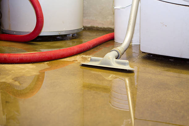 Water damage restoration insurance claims in Glade Spring, VA