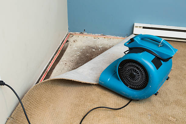 Water damage restoration insurance claims in Glade Spring, VA